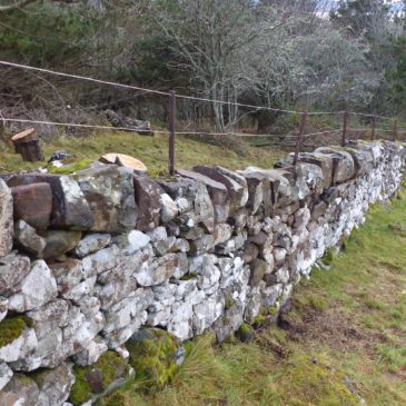 Wall Repair Completed